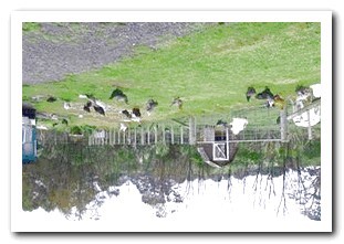 Hidden Wifi Cameras for Sale